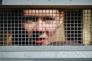 07_4C_prison_JN