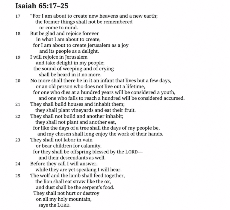 Isaiah 6517-25