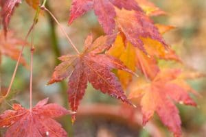 thinkstockphotos-136630849