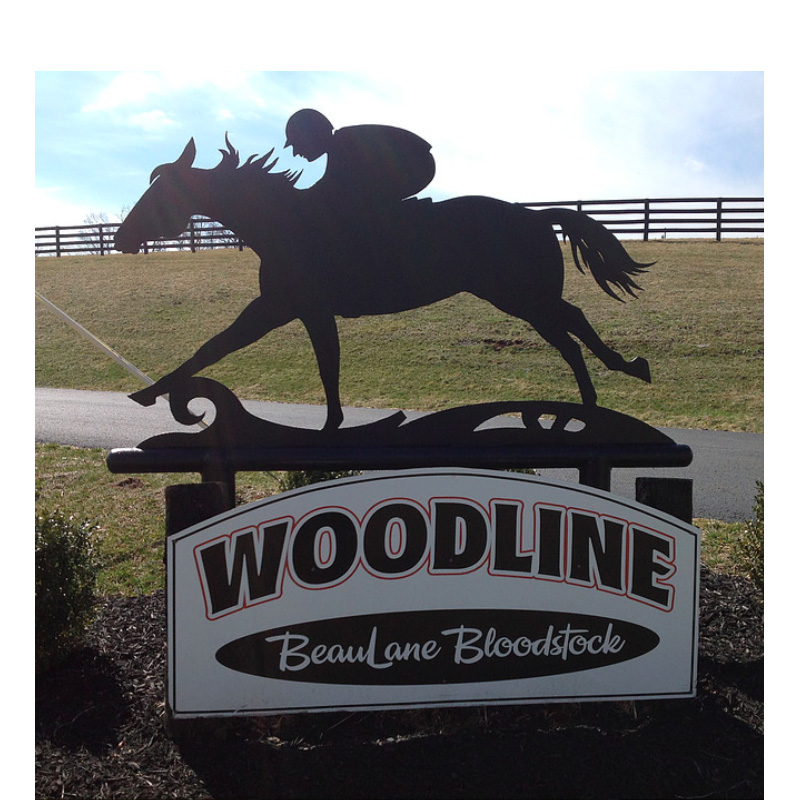 Successful Horse Auction to Boost Kentucky Church (Plus News Briefs)