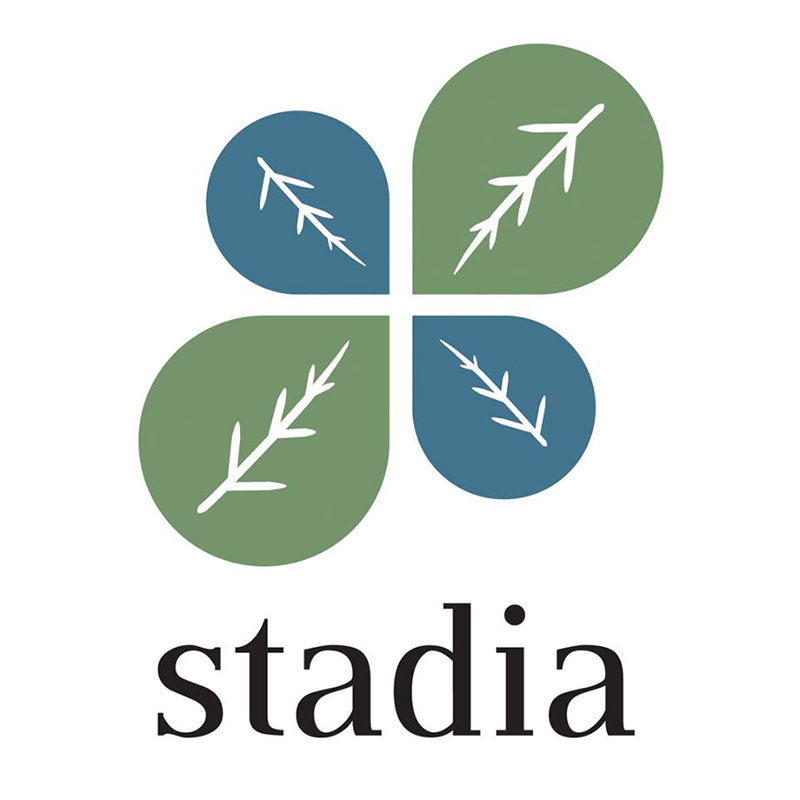 A Fortuitous Announcement For Stadia Church Planting Christian Standard