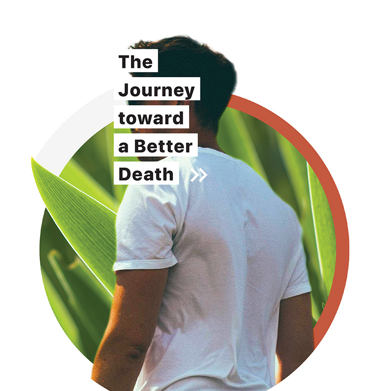 The Journey Toward a Better Death: Reflections on Looking for Greener Grass