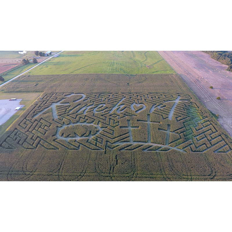 Rural Church Sees a-Maze-ing Opportunity in Cornfield