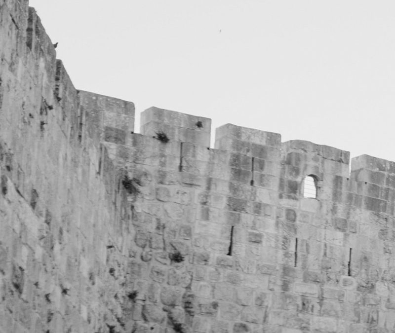 May 30 | City of David Founded